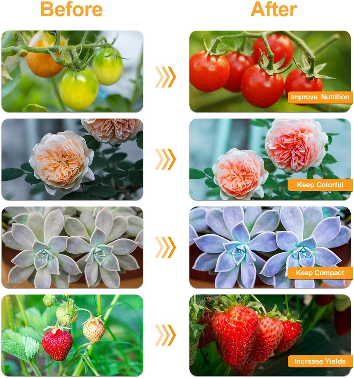 Grow Light For Indoor Plants | Dimmable Full Spectrum encalife