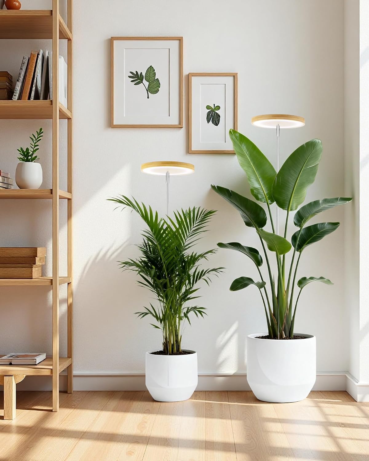 Grow Lights for Indoor Plants | Halo LED Plant Light encalife