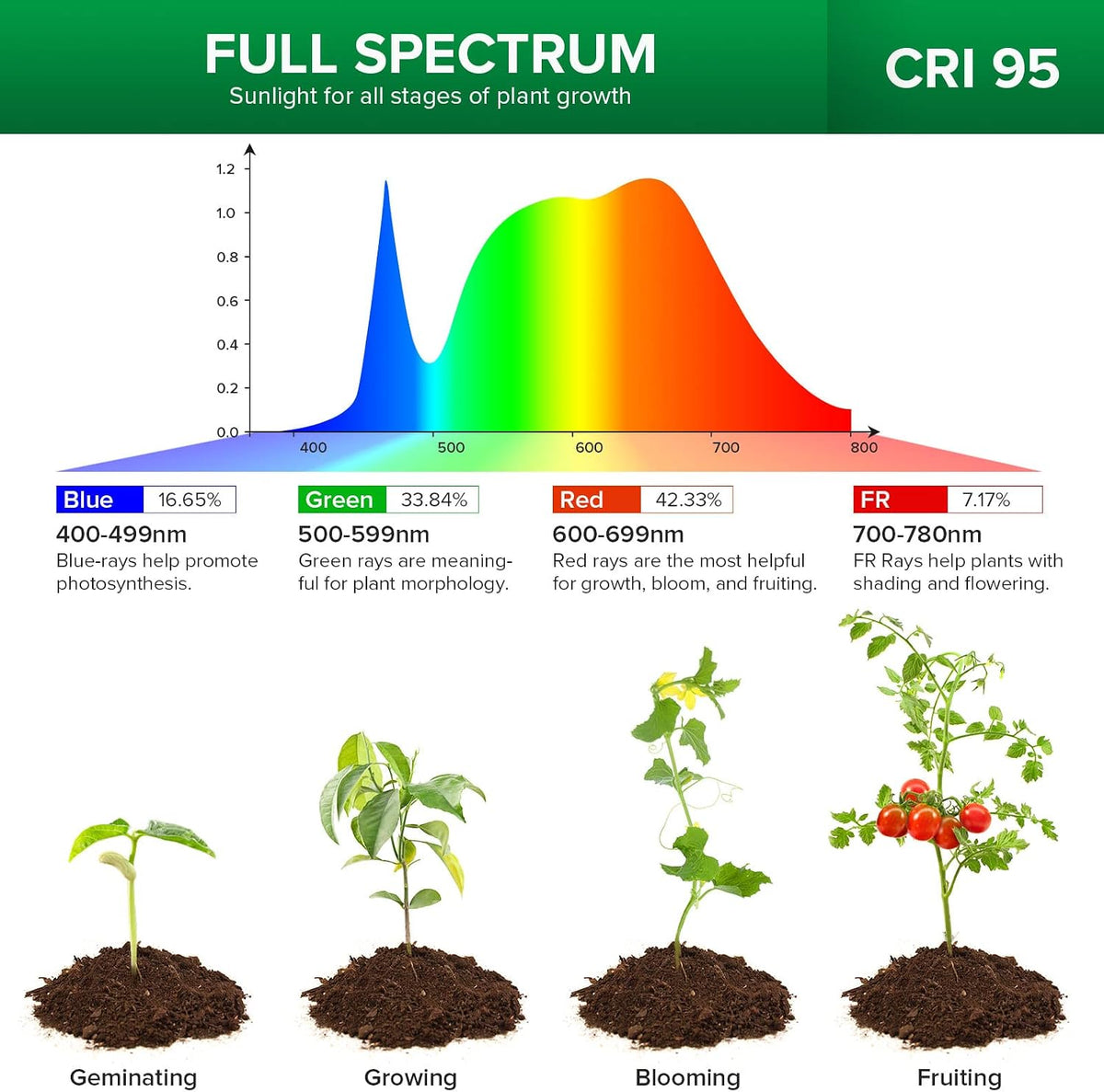 Grow Light For Indoor Plants | Pot Clip Full Spectrum encalife