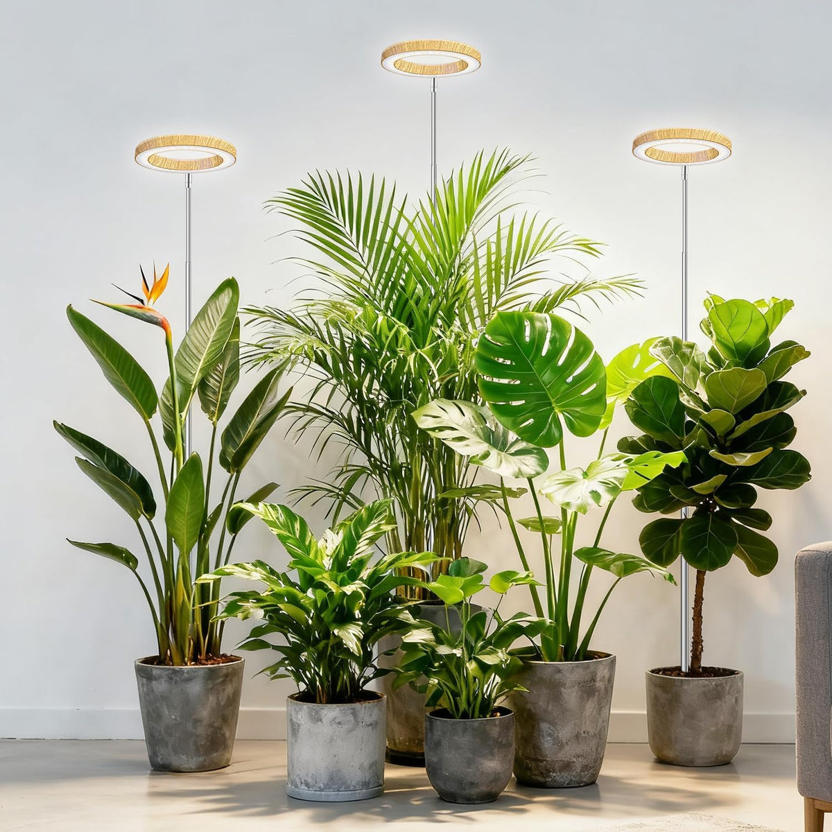 Grow Light For Indoor Plants | Woodgrain Full Spectrum encalife