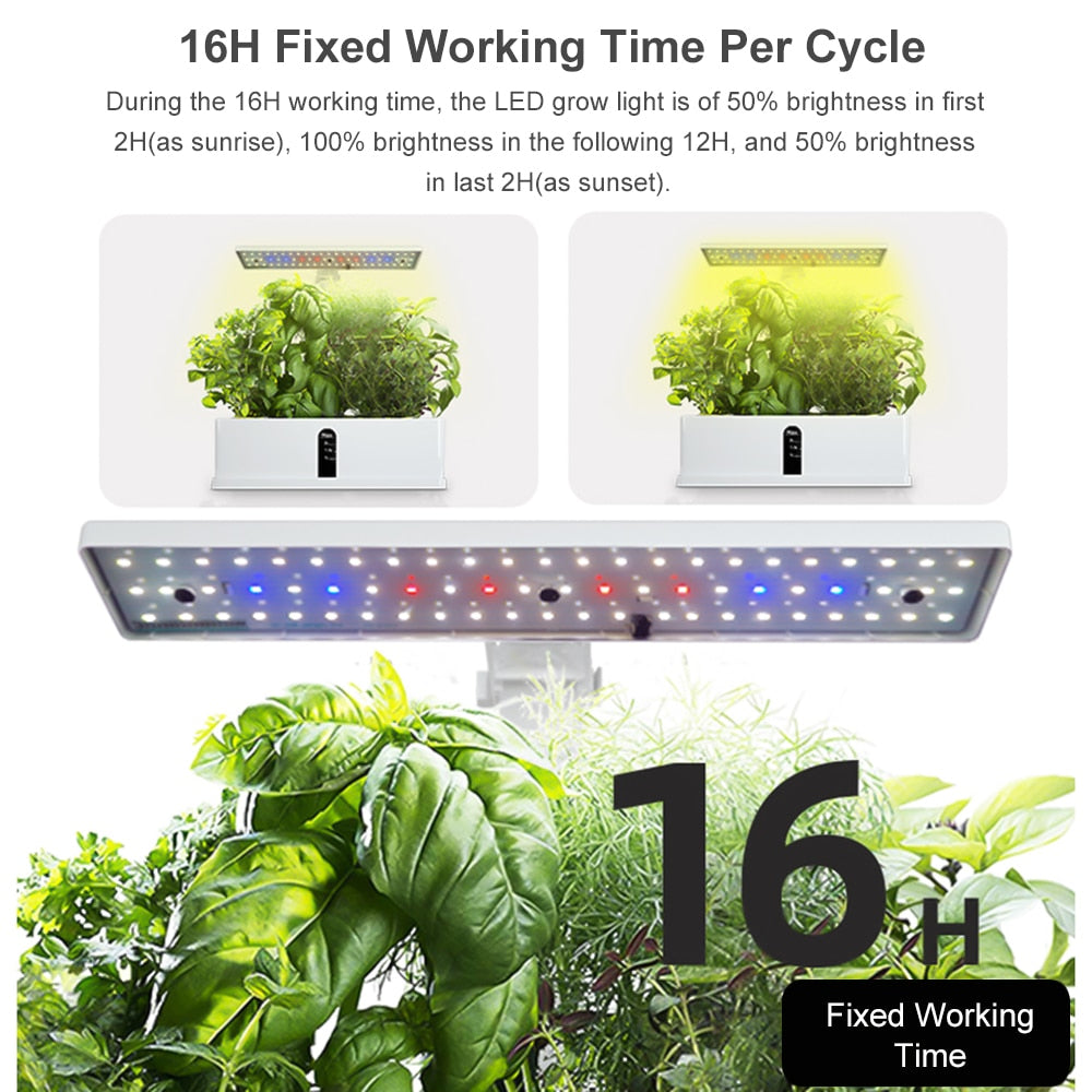 Grow Light For Indoor Plants | Hydroponics Growing System encalife