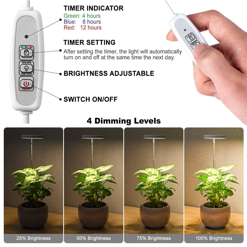 Grow Light For Indoor Plants | Angel Ring encalife