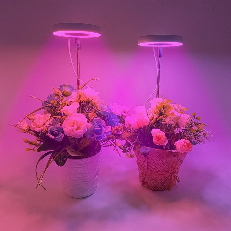 Grow Light For Indoor Plants | Angel Ring encalife