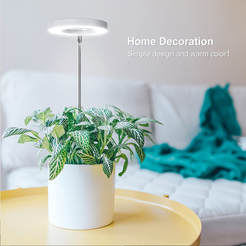 Grow Light For Indoor Plants | Angel Ring encalife