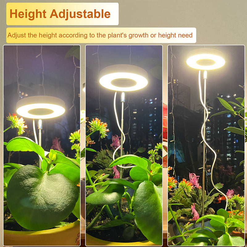 Grow Light For Indoor Plants | Angel Ring encalife