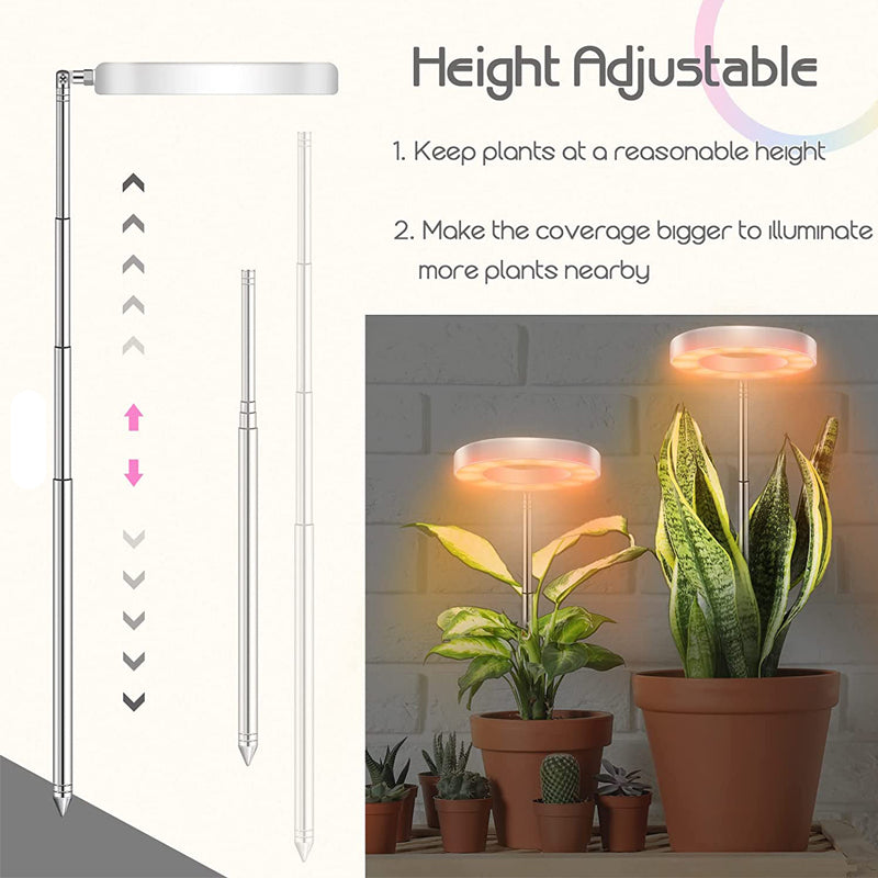 Grow Light For Indoor Plants | Angel Ring encalife