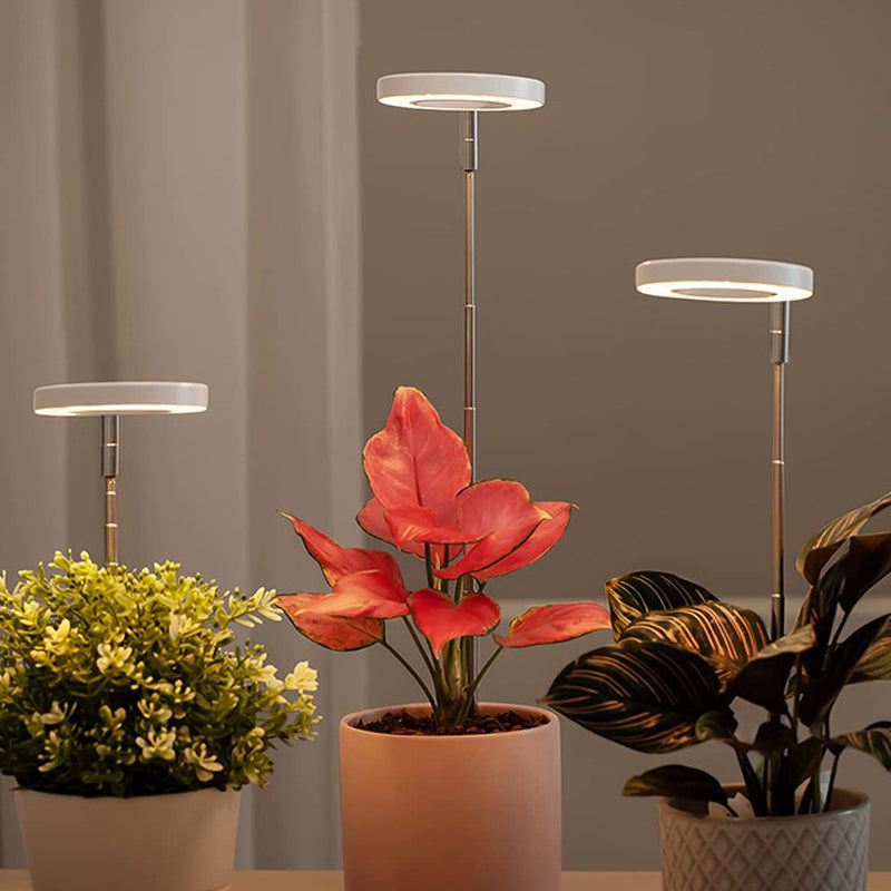 Grow Light For Indoor Plants | Angel Ring encalife