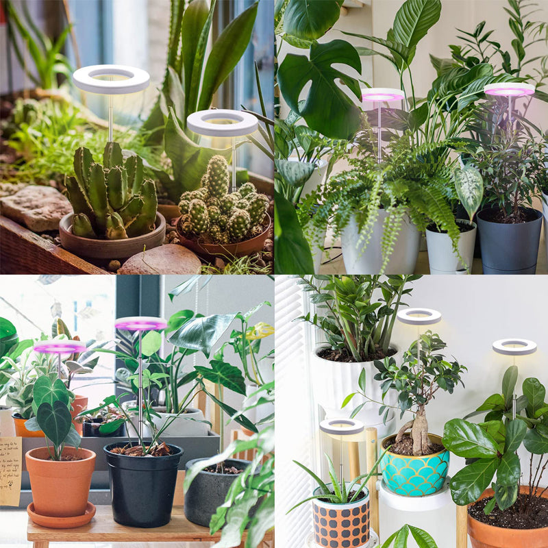 Grow Light For Indoor Plants | Angel Ring encalife