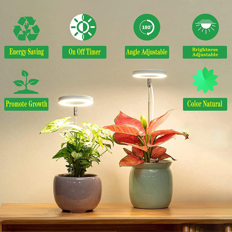 Grow Light For Indoor Plants | Angel Ring encalife