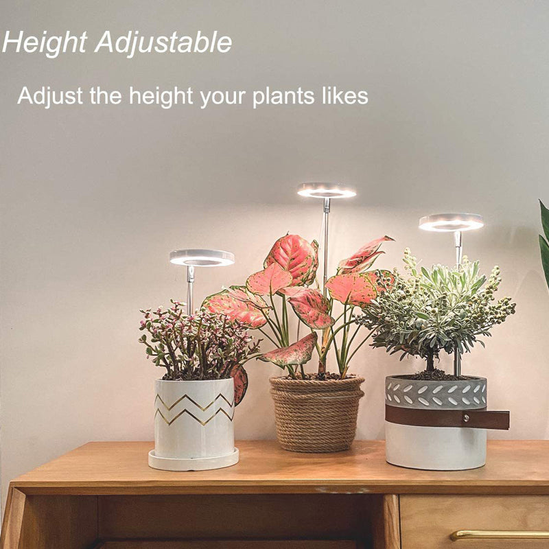 Grow Light For Indoor Plants | Angel Ring encalife