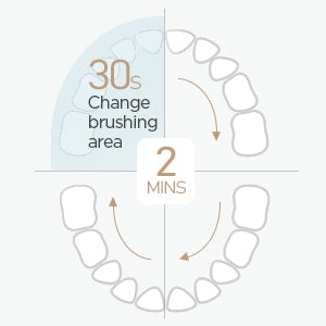 Electric Toothbrush | Black | Includes 8 Heads encalife