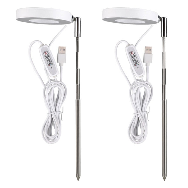 Grow Light For Indoor Plants | Angel Ring encalife