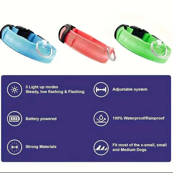 Nylon LED Night‑Safety Dog Leash Collar encalife