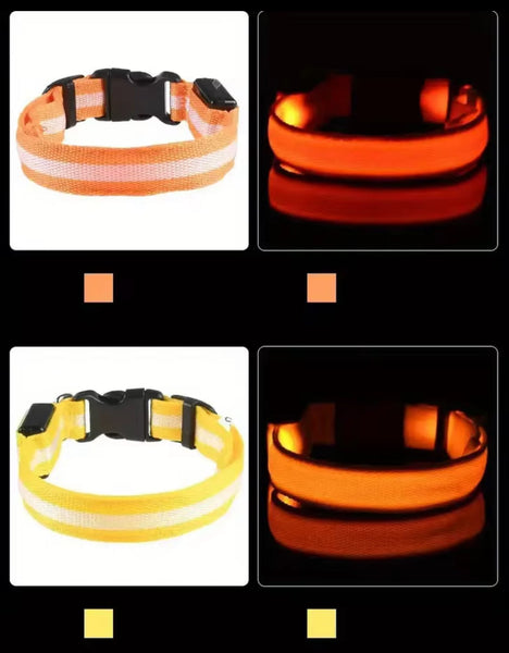 Nylon LED Night‑Safety Dog Leash Collar encalife