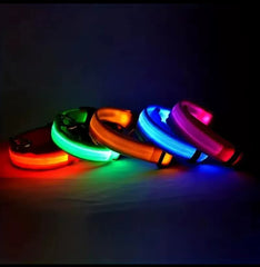 Nylon LED Night‑Safety Dog Leash Collar encalife