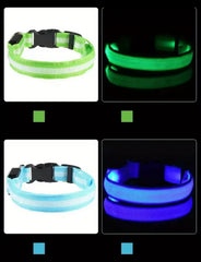 Nylon LED Night‑Safety Dog Leash Collar encalife