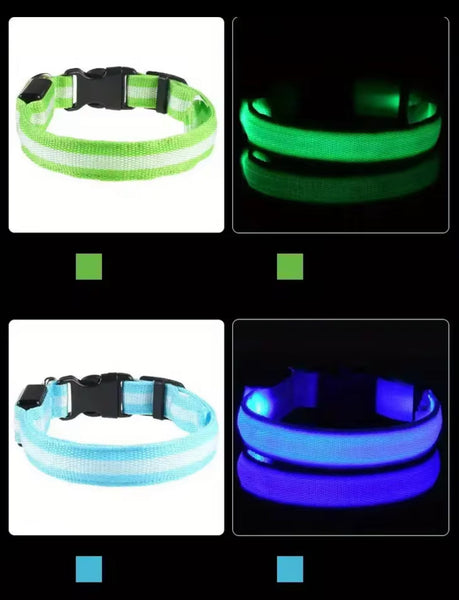 Nylon LED Night‑Safety Dog Leash Collar encalife
