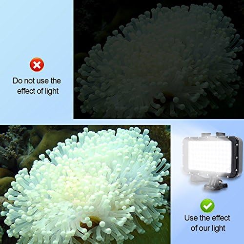 84 LED Underwater Video Light Waterproof Dive Lamp encalife