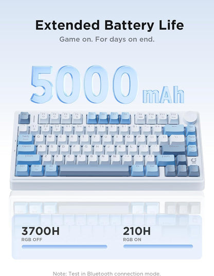 Gaming Mechanical Keyboard RGB Wireless Hot Swappable encalife