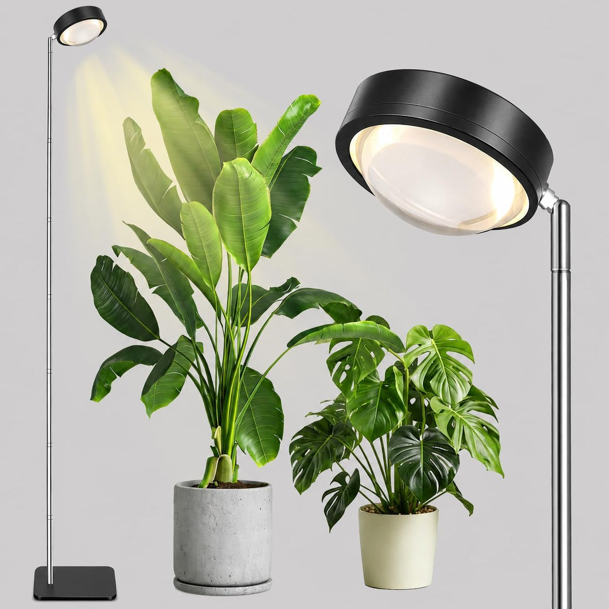 Grow Lights for Indoor Plants | Walnut Floor Lamp encalife
