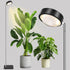 Grow Lights for Indoor Plants | Walnut Floor Lamp encalife