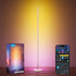 Smart RGBIC Corner Floor Lamp With Music Sync encalife
