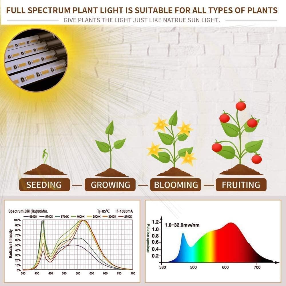 Grow Light For Indoor Plants | Dimmable Full Spectrum encalife