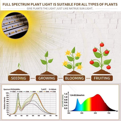 Grow Light For Indoor Plants | Dimmable Full Spectrum encalife