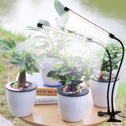 Grow Light For Indoor Plants | Full Spectrum Clamp encalife