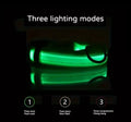 Nylon LED Night‑Safety Dog Leash Collar