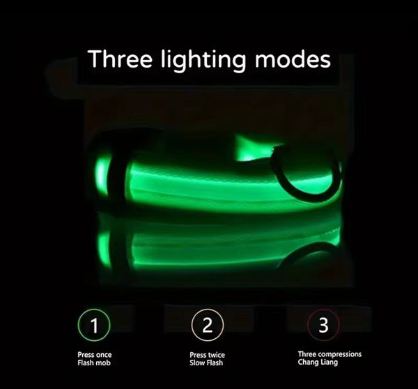 Nylon LED Night‑Safety Dog Leash Collar encalife