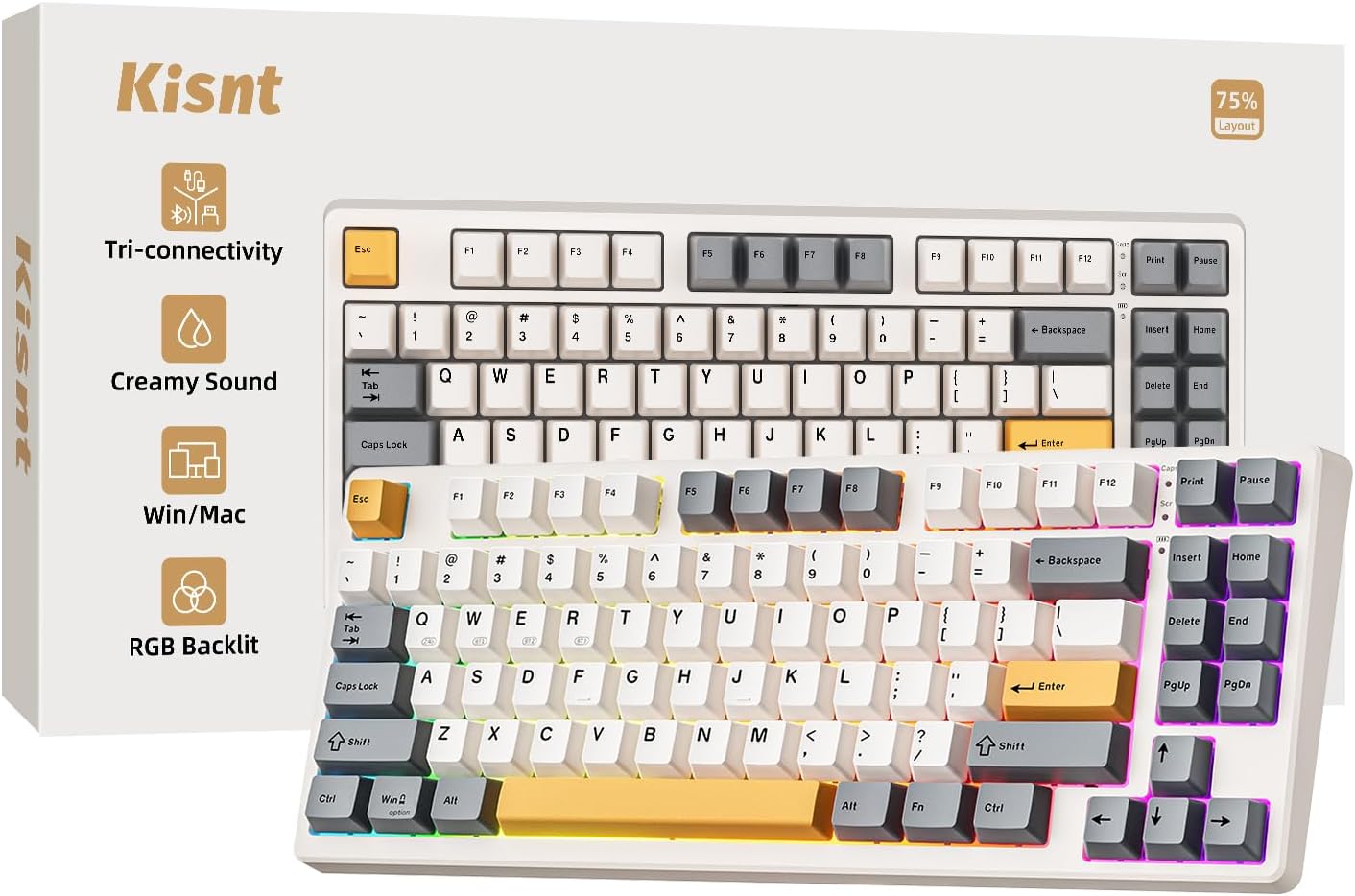 Kisnt KN85 Wireless RGB Mechanical Keyboard I Retro Beige
