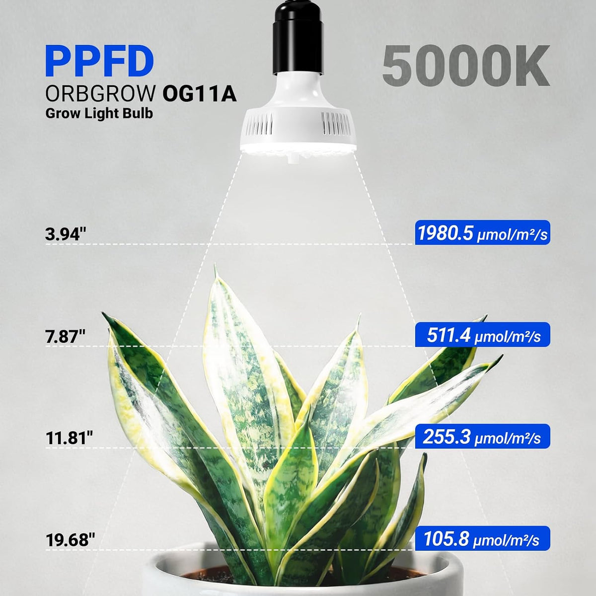 Grow Light For Indoor Plants | Clip On Full Spectrum encalife