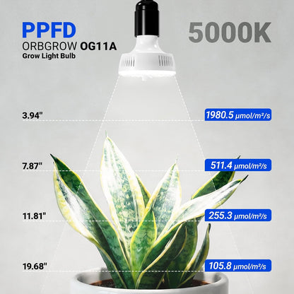 Grow Light For Indoor Plants | Clip On Full Spectrum encalife
