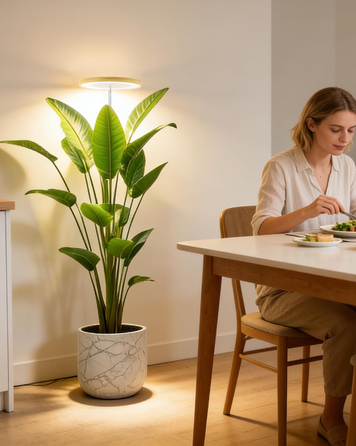 Grow Lights for Indoor Plants | Halo LED Plant Light encalife