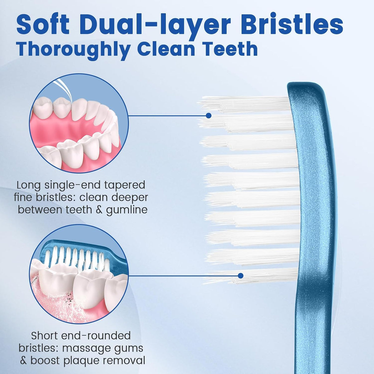 Soft Toothbrushes with Travel Covers encalife