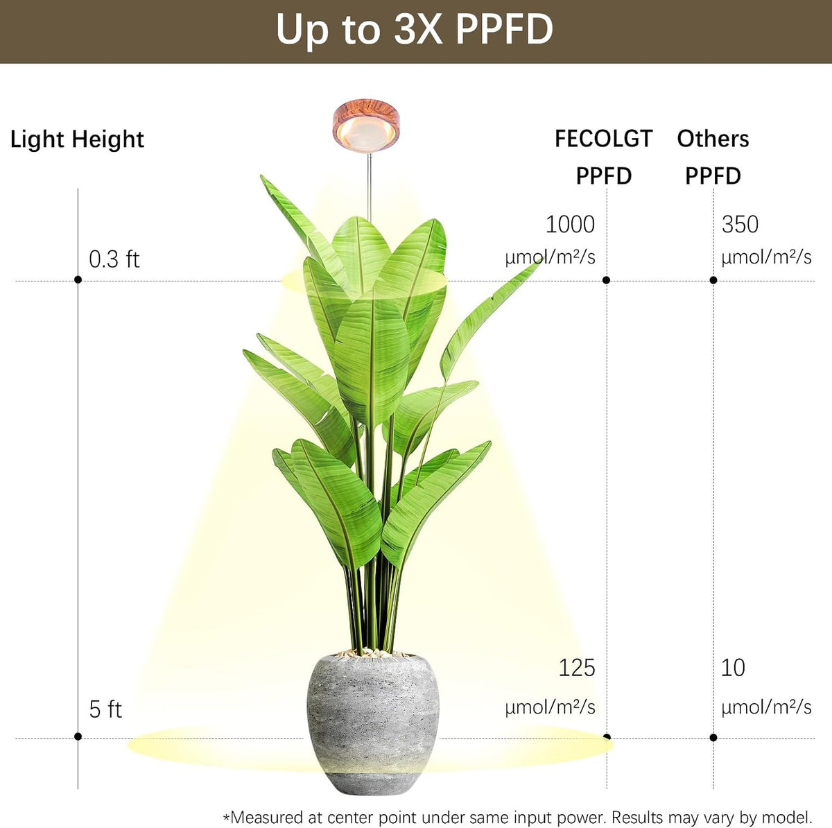 Grow Lights for Indoor Plants | Walnut Floor Lamp encalife