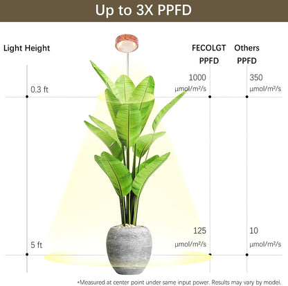 Grow Lights for Indoor Plants | Walnut Floor Lamp encalife