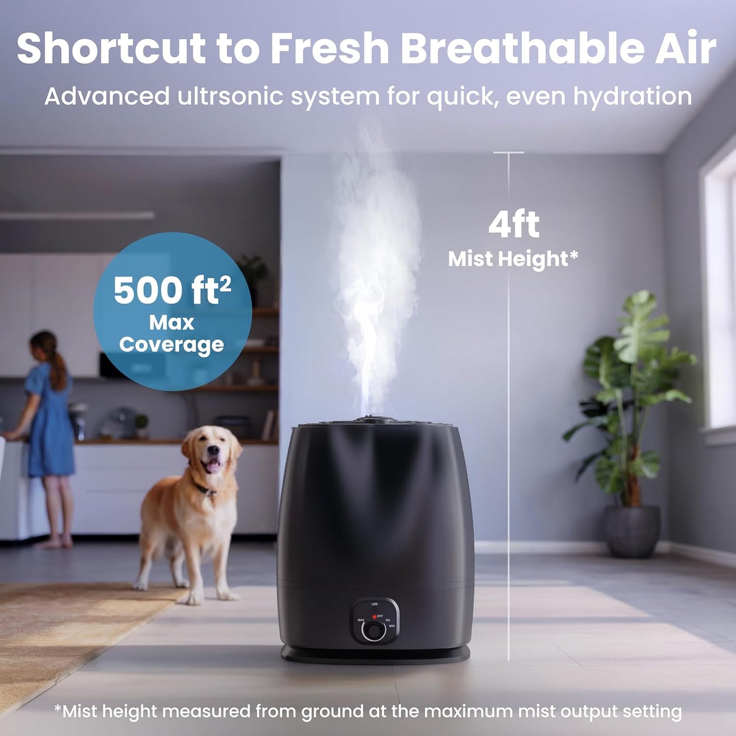 Cool Mist Humidifier | 6L | 50-Hour Runtime encalife