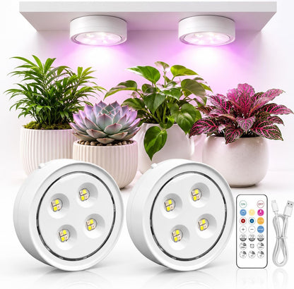 Rechargeable magnetic grow light for indoor plants