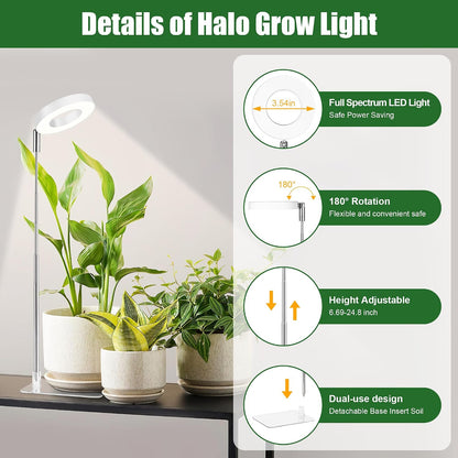 Grow Lights for Indoor Plants | Halo LED Plant Lamp encalife