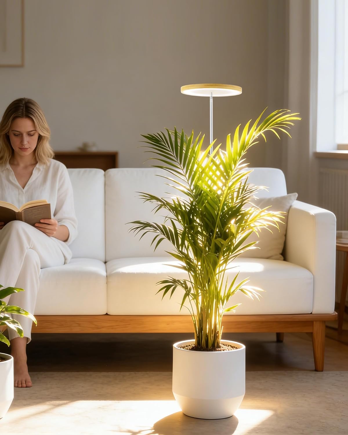 Grow Lights for Indoor Plants | Halo LED Plant Light encalife