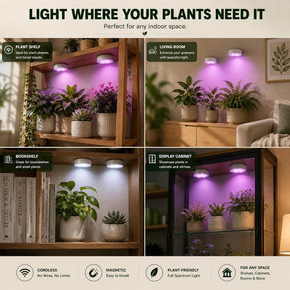 Grow Light For Indoor Plants | Rechargeable Magnetic Wireless encalife