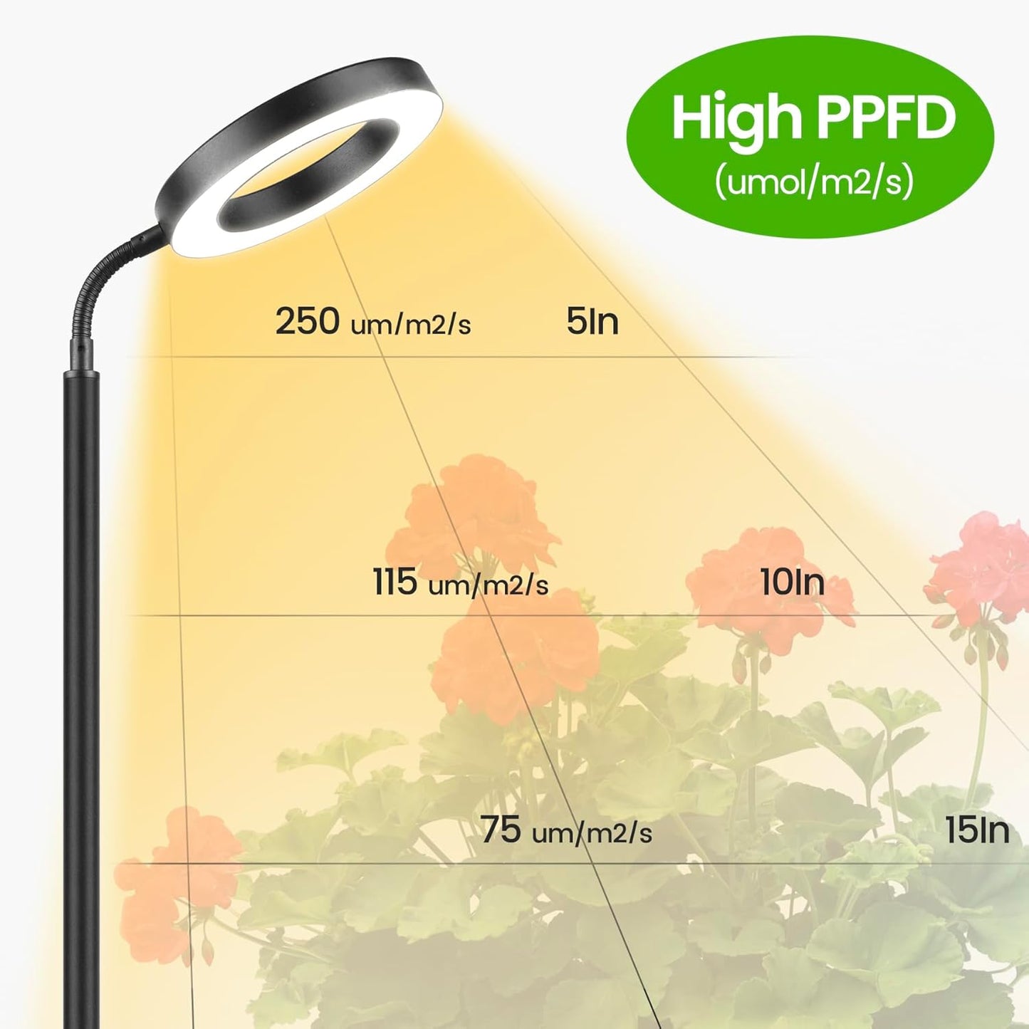 Grow Lights for Indoor Plants Floor Lamp encalife