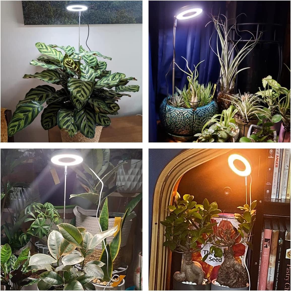 Grow Lights for Indoor Plants 3 Pack encalife