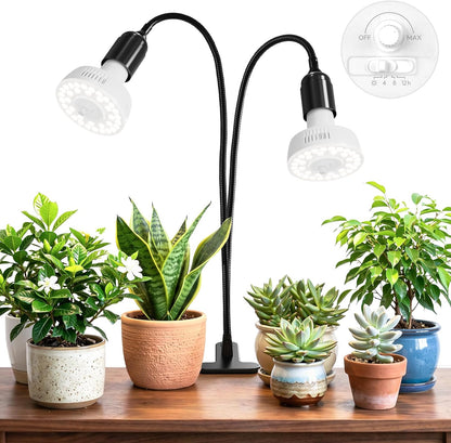 Clip on full spectrum grow light for indoor plants