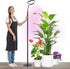 Grow Lights for Indoor Plants I 20W Full Spectrum Halo Lamp