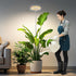 Grow Light For Indoor Plants | Woodgrain Full Spectrum encalife