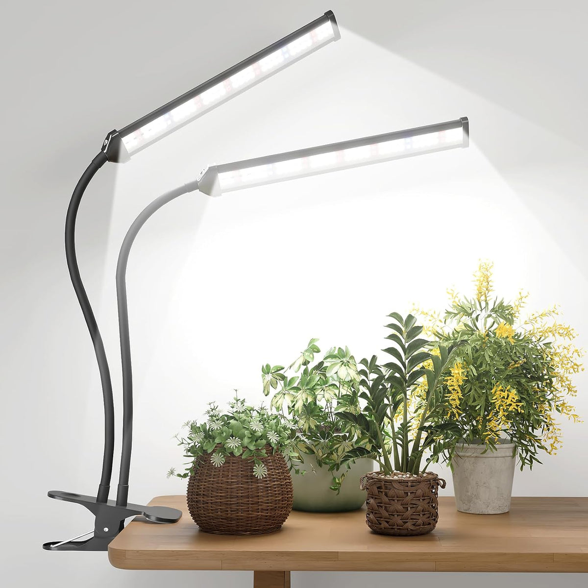 Grow Light For Indoor Plants | Full Spectrum Clamp encalife