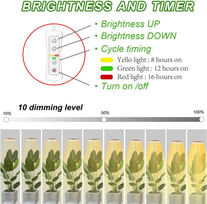 Grow Lights for Indoor Plants | Halo LED Plant Light encalife